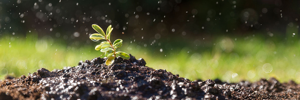 Environmentálna politika